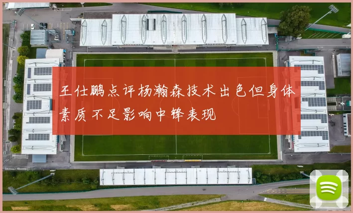 王仕鹏点评杨瀚森技术出色但身体素质不足影响中锋表现
